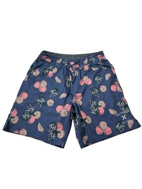 Hurley Surf Club Blue Orange Citrus Print 17" Volley Swim Short Beach Resort L/G